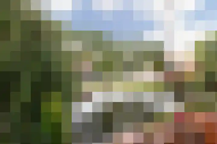 Pegasusstraat 14 Volendam thumbnail 35