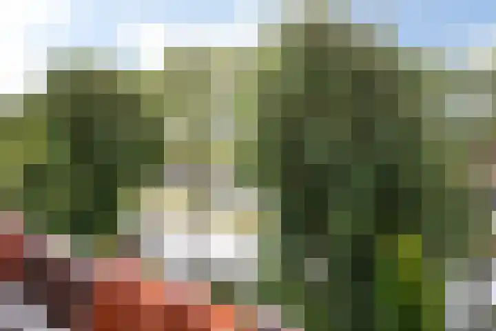 Pegasusstraat 14 Volendam thumbnail 36