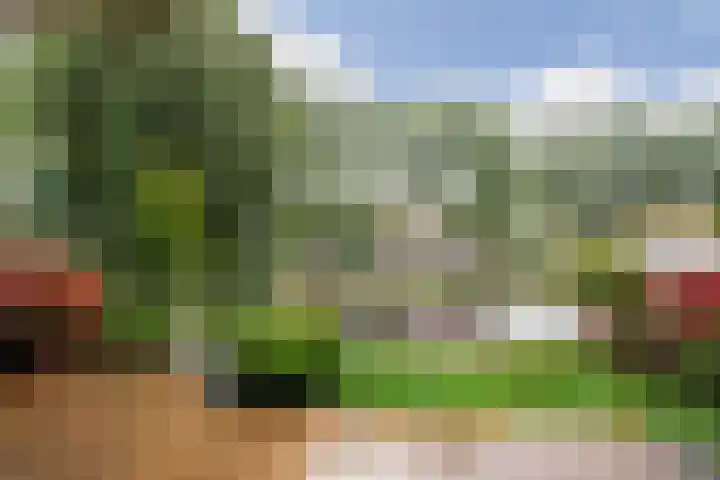 Pegasusstraat 14 Volendam thumbnail 53