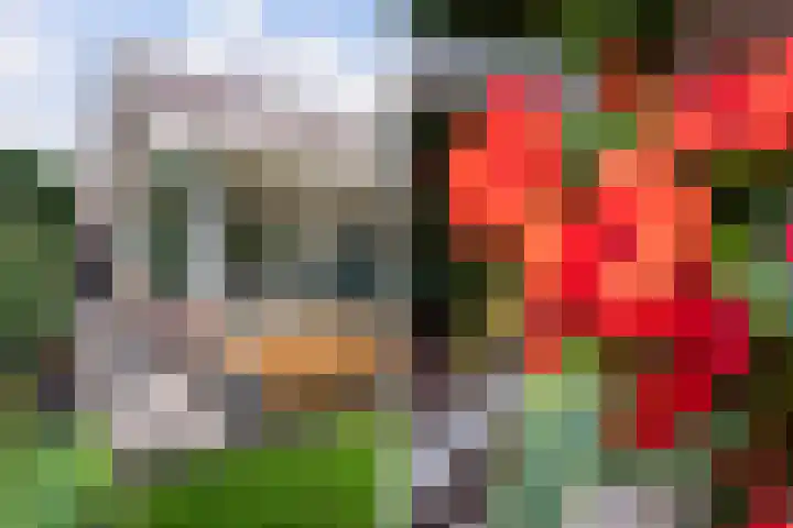 Pegasusstraat 14 Volendam thumbnail 56