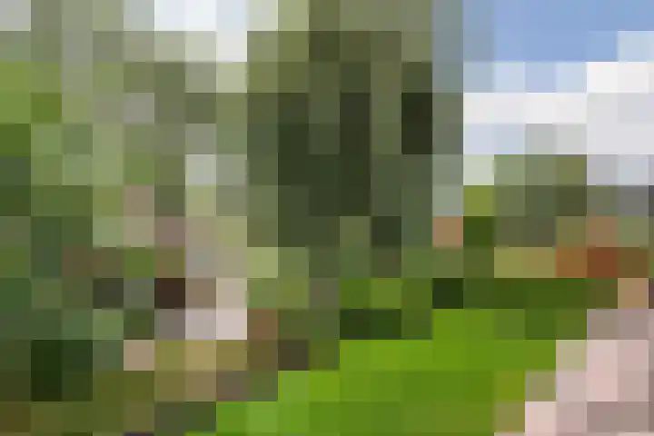 Pegasusstraat 14 Volendam thumbnail 58