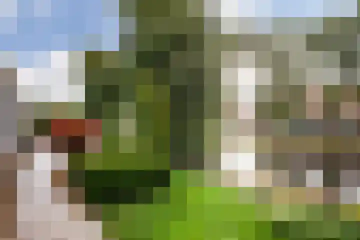 Pegasusstraat 14 Volendam thumbnail 61