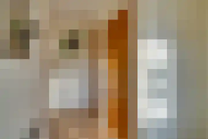 Pegasusstraat 15 Volendam thumbnail 8