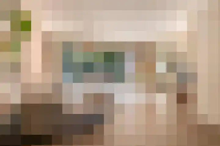 Pegasusstraat 40 Enschede thumbnail 35