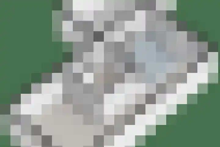 Pegasusstraat 40 Enschede thumbnail 41