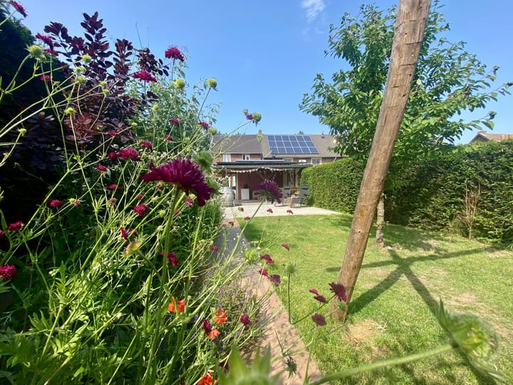 Peijerstraat 56 in Echt foto