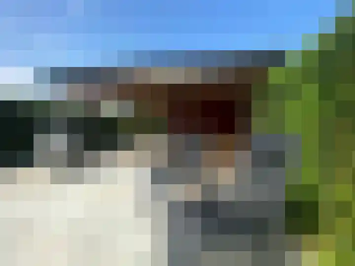 Peijerstraat 56 Echt thumbnail 30