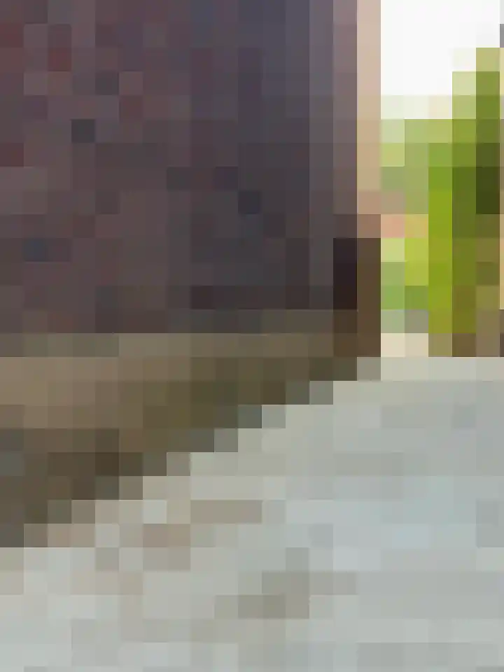 Peijerstraat 56 Echt thumbnail 41