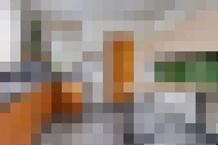 Peijerstraat 56 Echt thumbnail 9