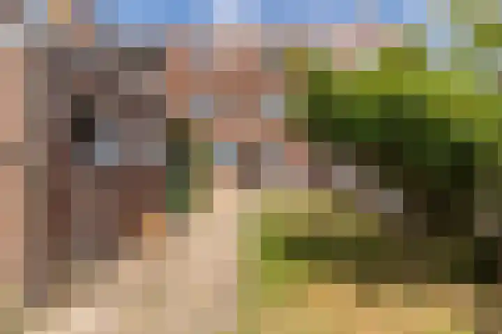 Peijerstraat 92 Echt thumbnail 15