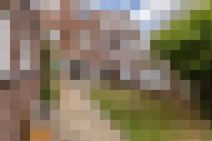 Peijerstraat 92 Echt thumbnail 16