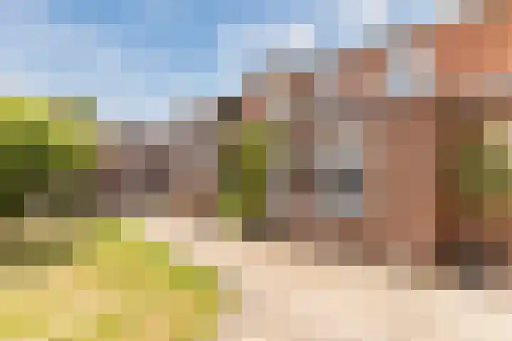Peijerstraat 92 Echt thumbnail 18
