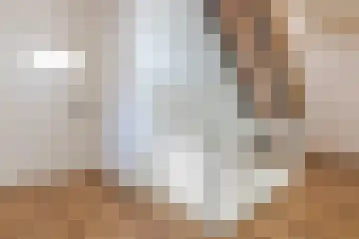 Peijerstraat 92 Echt thumbnail 20