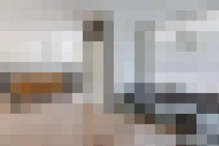 Peijerstraat 92 Echt thumbnail 8