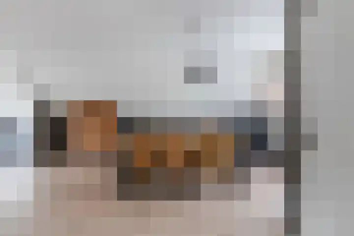 Peijerstraat 92 Echt thumbnail 9