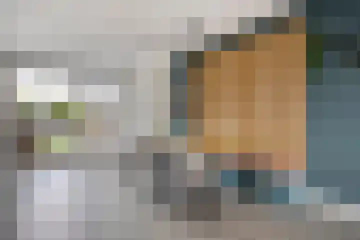 Peilschaal 18 Oss thumbnail 14