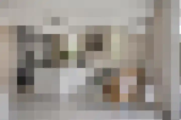 Peilschaal 18 Oss thumbnail 17