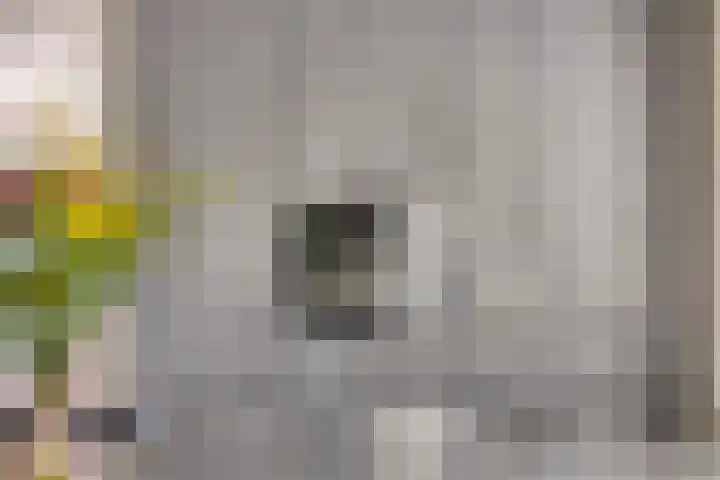 Peilschaal 18 Oss thumbnail 19