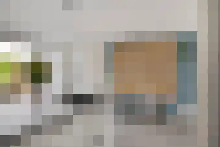 Peilschaal 18 Oss thumbnail 21
