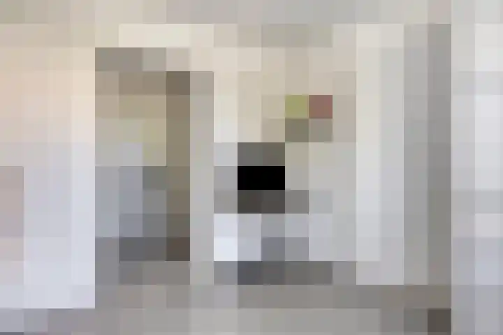 Peilschaal 18 Oss thumbnail 25
