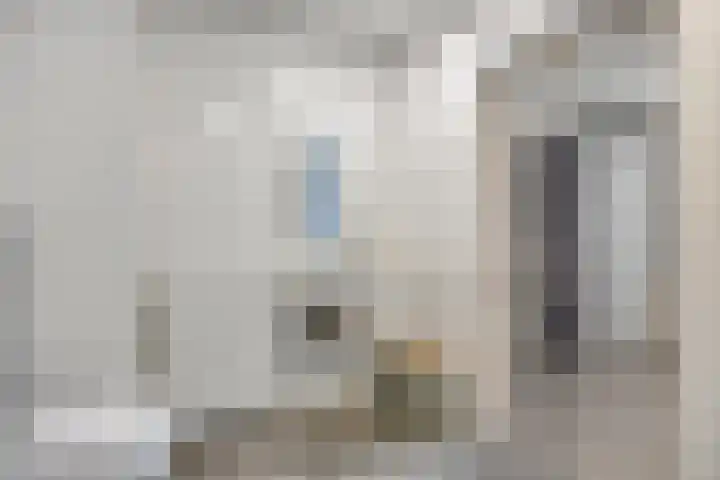 Peilschaal 18 Oss thumbnail 27