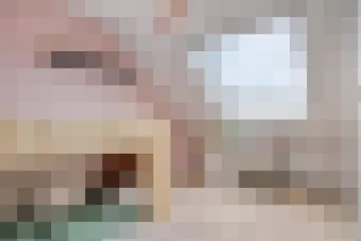 Peilschaal 18 Oss thumbnail 31