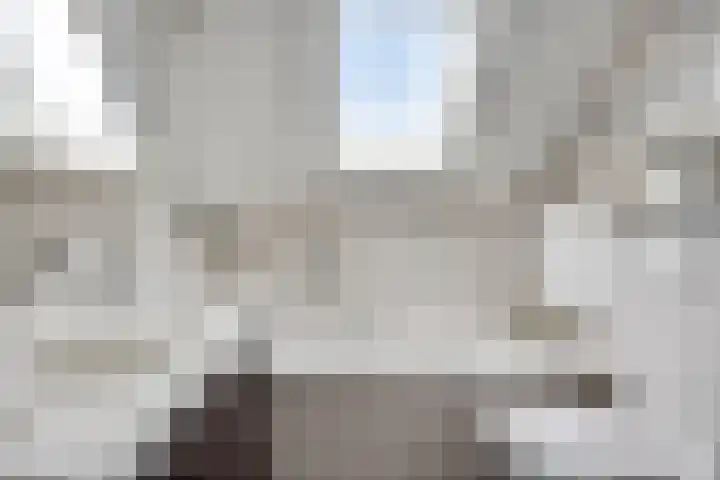 Peilschaal 18 Oss thumbnail 33