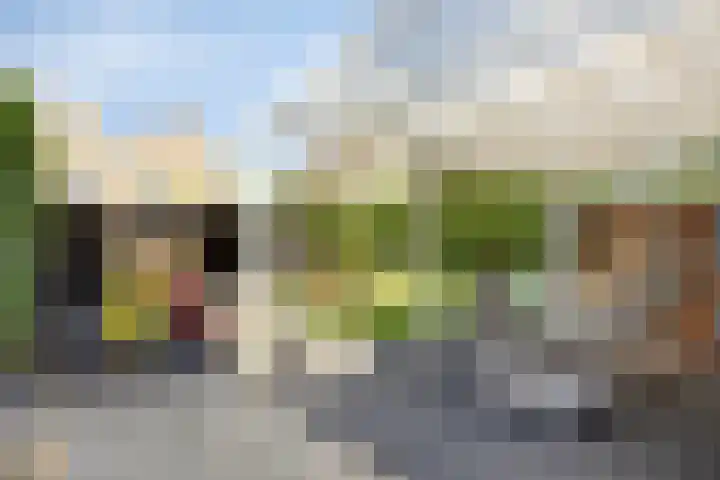 Peilschaal 18 Oss thumbnail 38