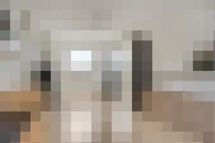 Peilschaal 18 Oss thumbnail 4