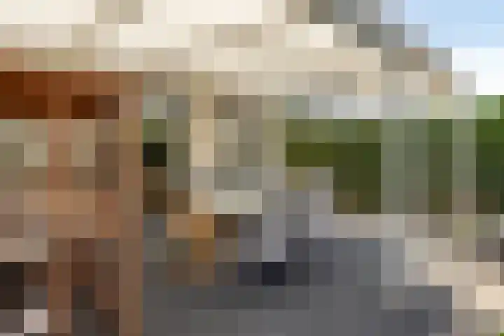 Peilschaal 18 Oss thumbnail 40