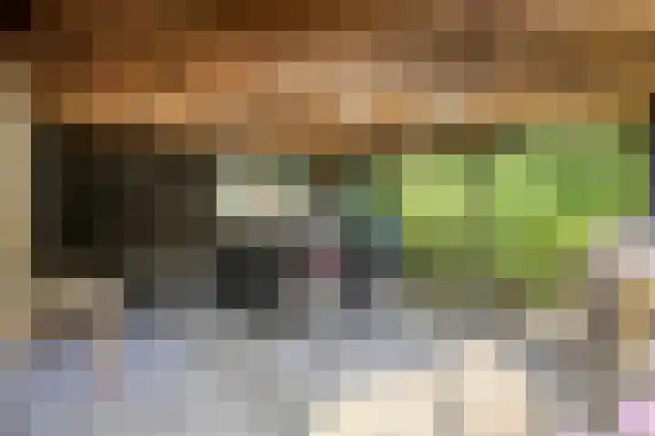 Peilschaal 18 Oss thumbnail 41
