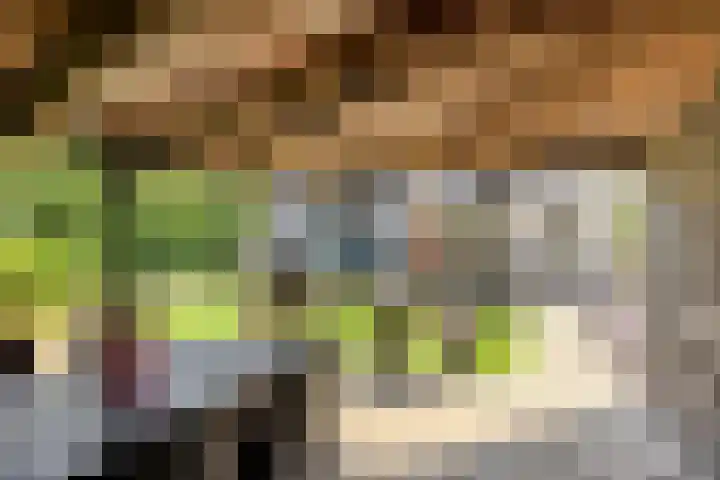 Peilschaal 18 Oss thumbnail 42
