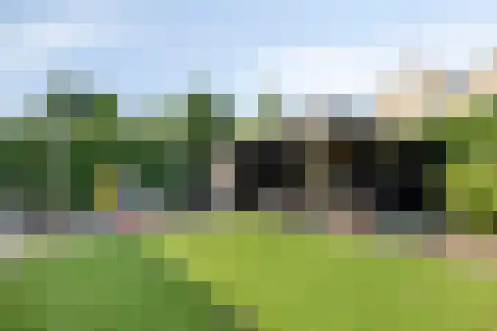 Peilschaal 18 Oss thumbnail 44