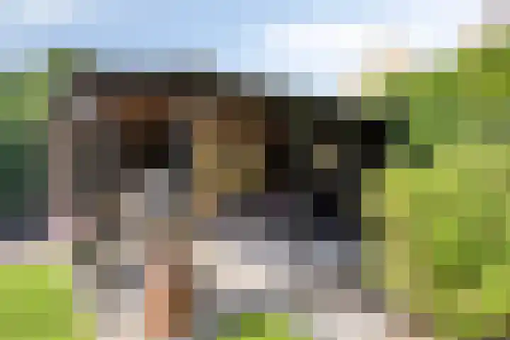 Peilschaal 18 Oss thumbnail 45