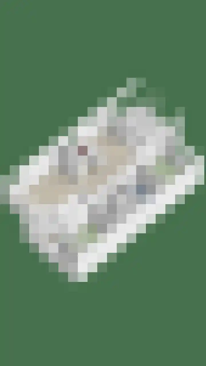 Peilschaal 18 Oss thumbnail 48
