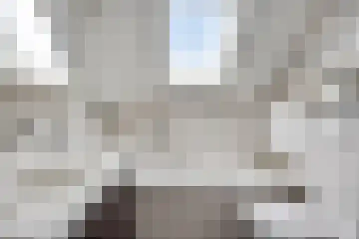 Peilschaal 18 Oss thumbnail 5