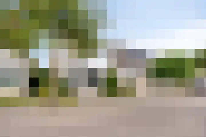 Peilschaal 18 Oss thumbnail 7