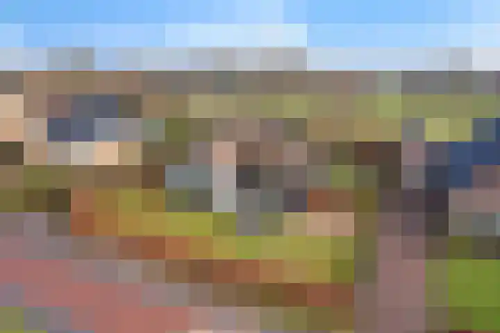 Peinderwei 21 De Tike