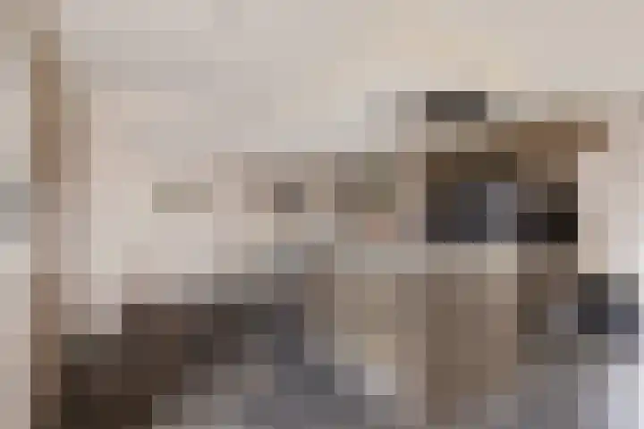Peinderwei 21 De Tike thumbnail 12