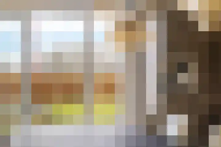 Peinderwei 21 De Tike thumbnail 16