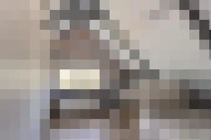 Peinderwei 21 De Tike thumbnail 28