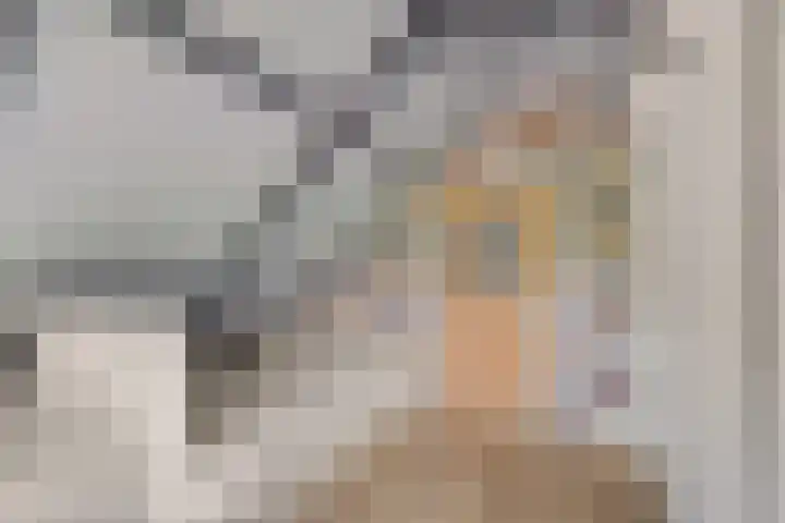Peinderwei 21 De Tike thumbnail 29