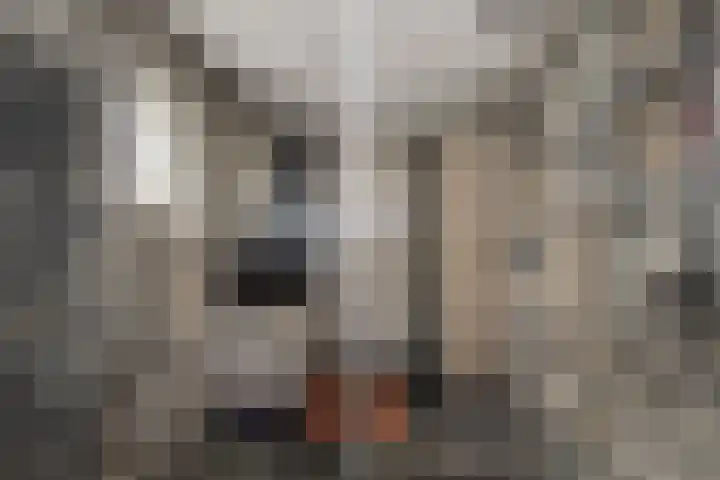 Peinderwei 21 De Tike thumbnail 33