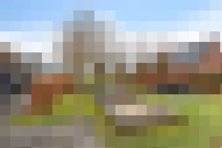 Peinderwei 21 De Tike thumbnail 41