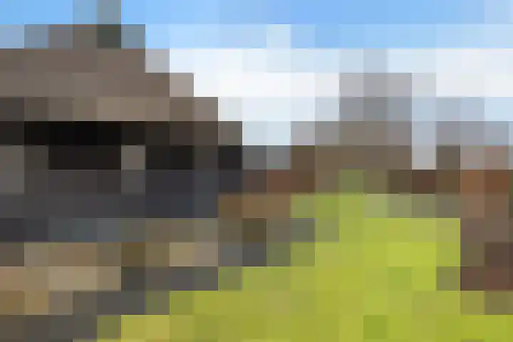 Peinderwei 21 De Tike thumbnail 43