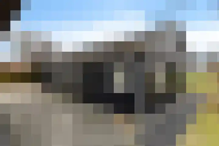 Peinderwei 21 De Tike thumbnail 46