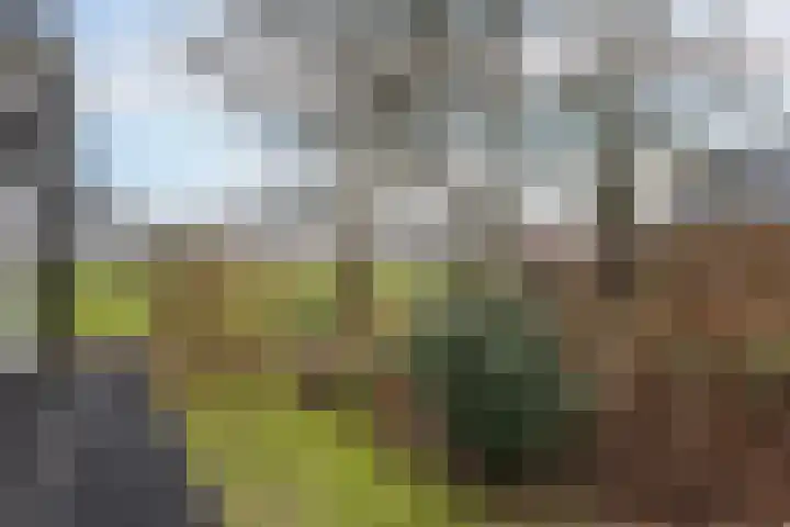 Peinderwei 21 De Tike thumbnail 47