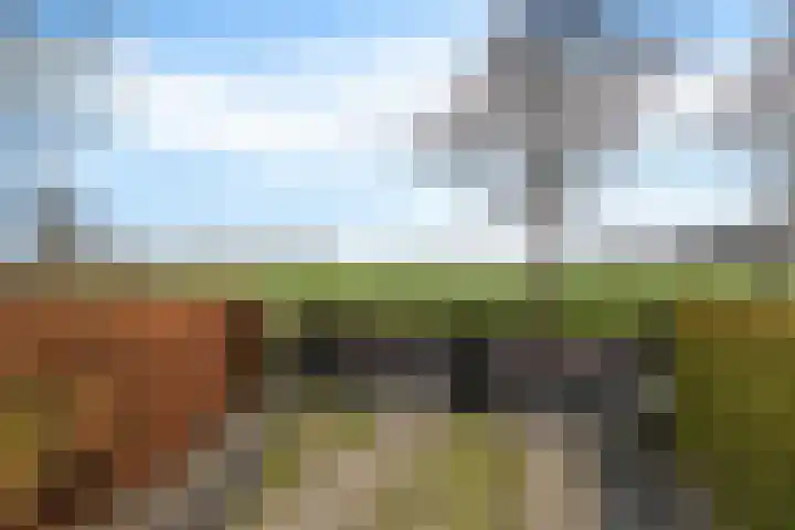 Peinderwei 21 De Tike thumbnail 48