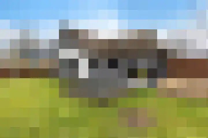 Peinderwei 21 De Tike thumbnail 49