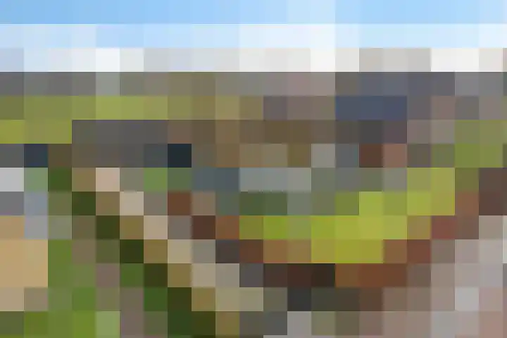 Peinderwei 21 De Tike thumbnail 51
